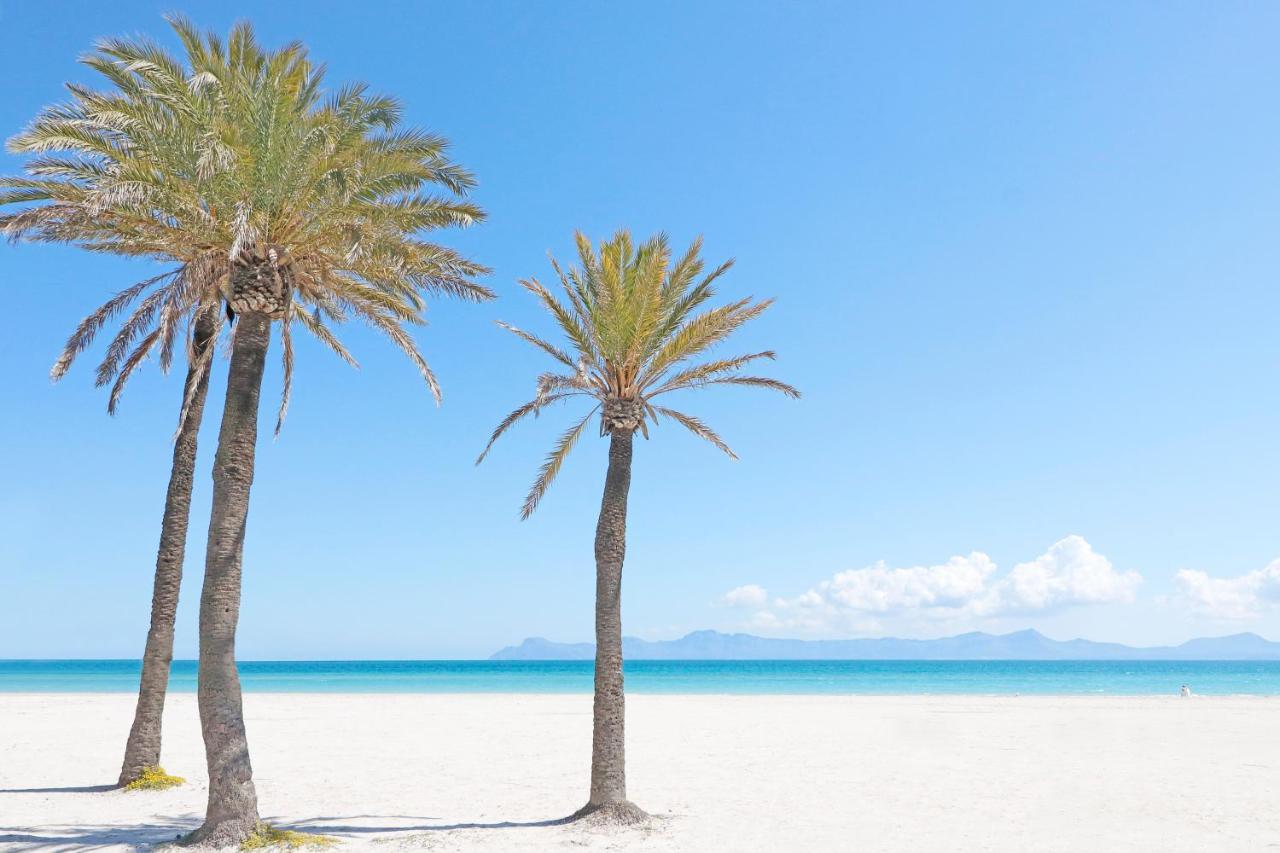 Bonavida Apartments Port de Alcudia  Eksteriør bilde